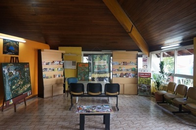 南美南极自由行 从梦想到实现——旅游信息咨询指南